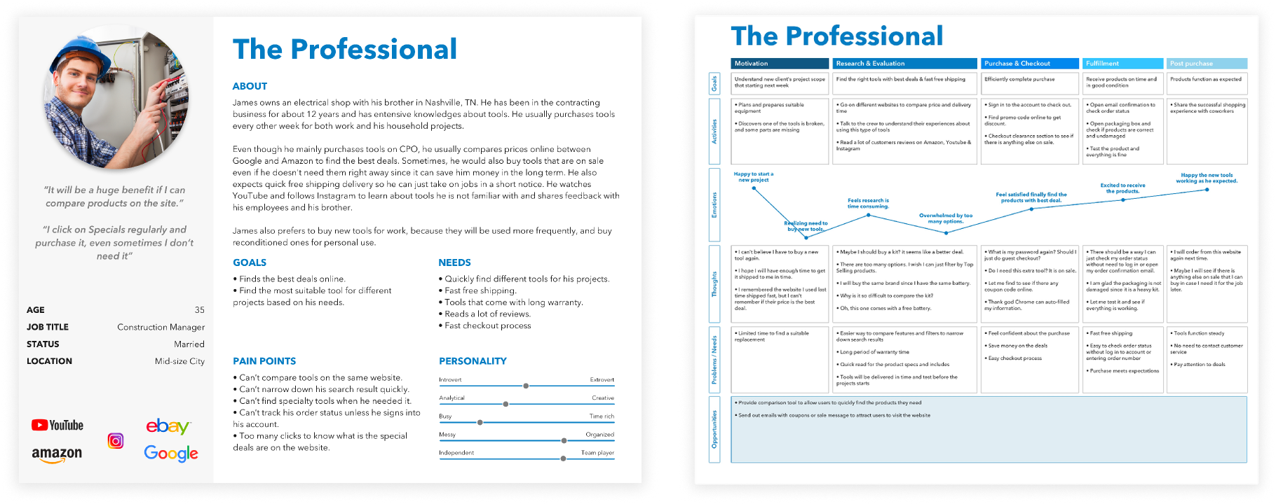The Professional — persona overview and journey map